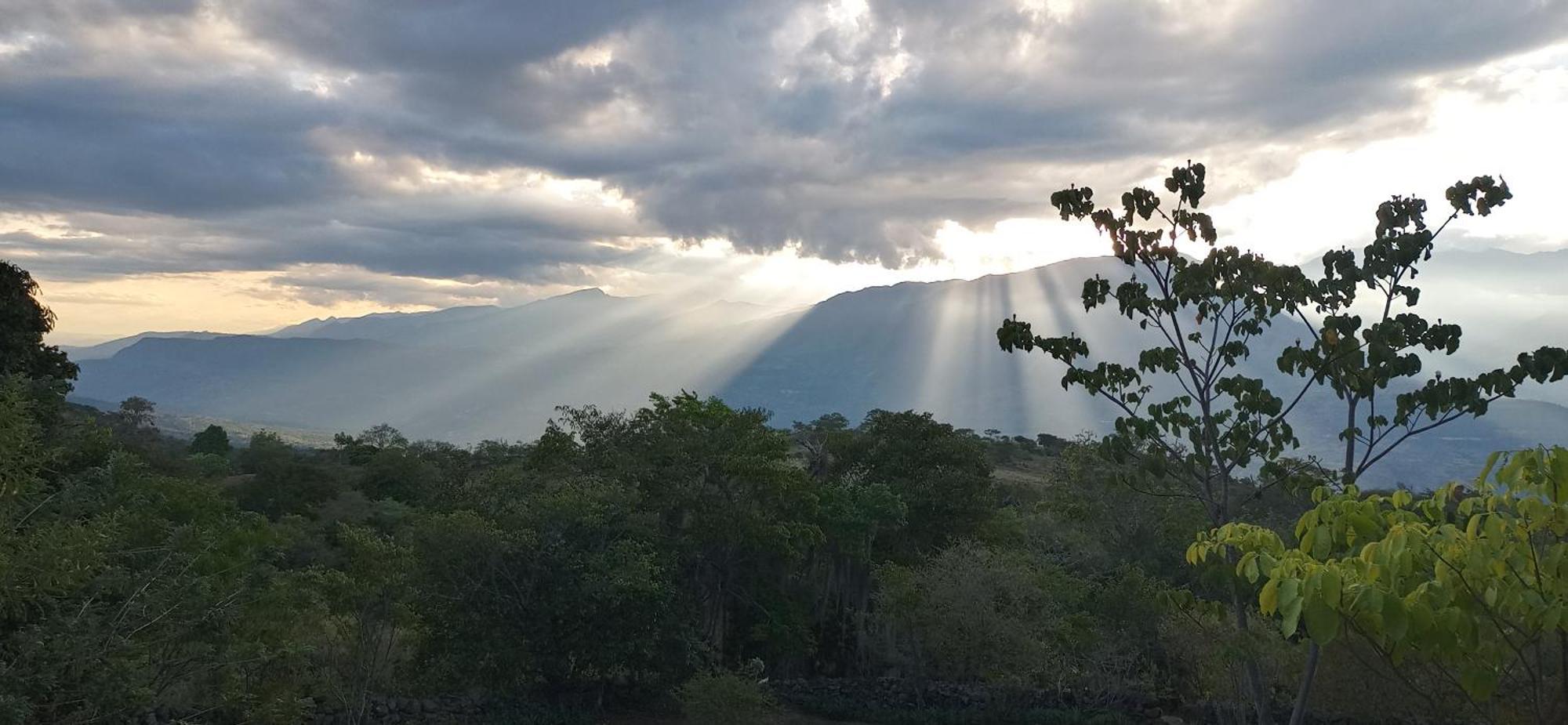 El Paraiso Posada Finca San Vicente バリチャラ エクステリア 写真