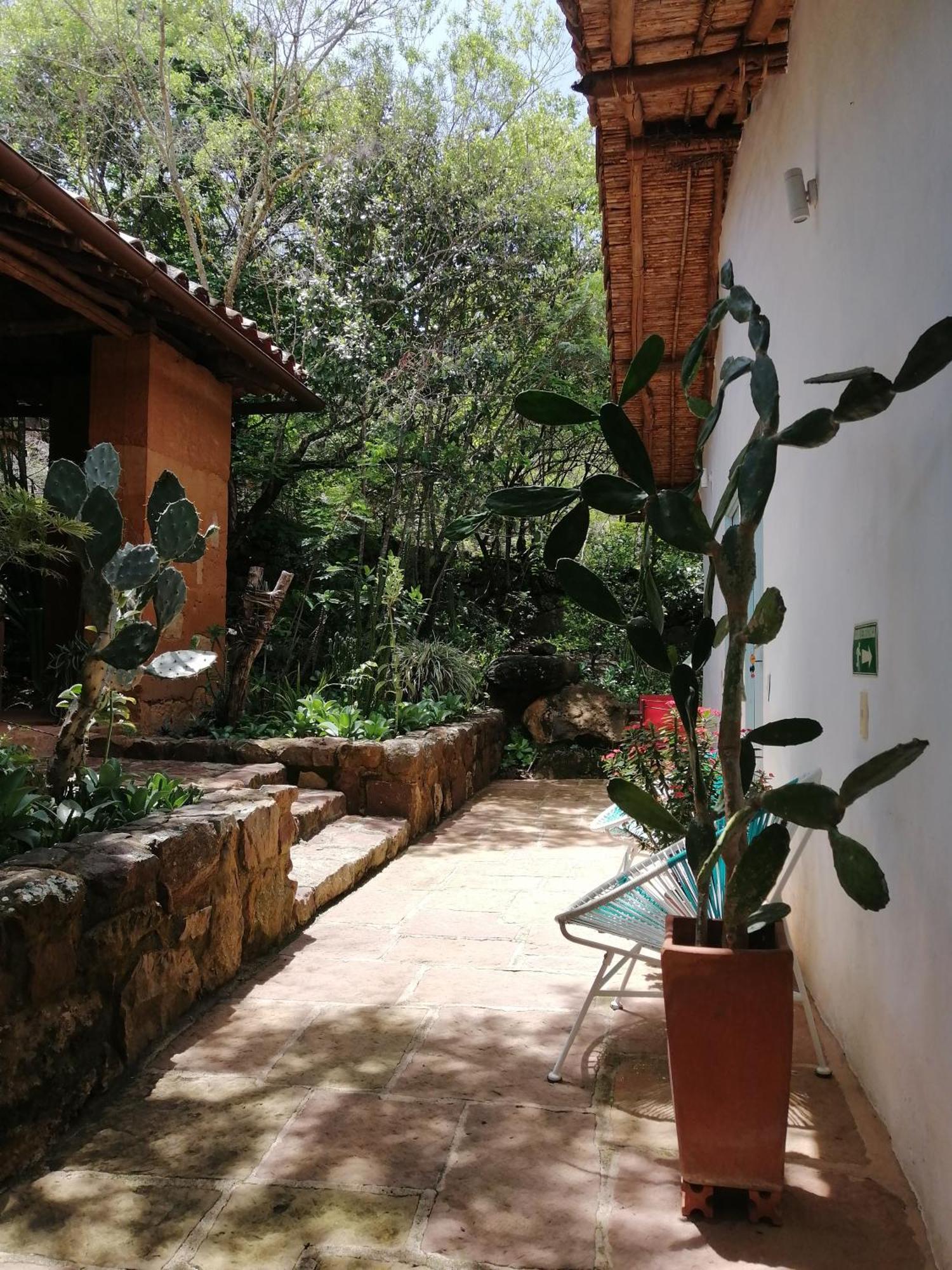 El Paraiso Posada Finca San Vicente バリチャラ エクステリア 写真