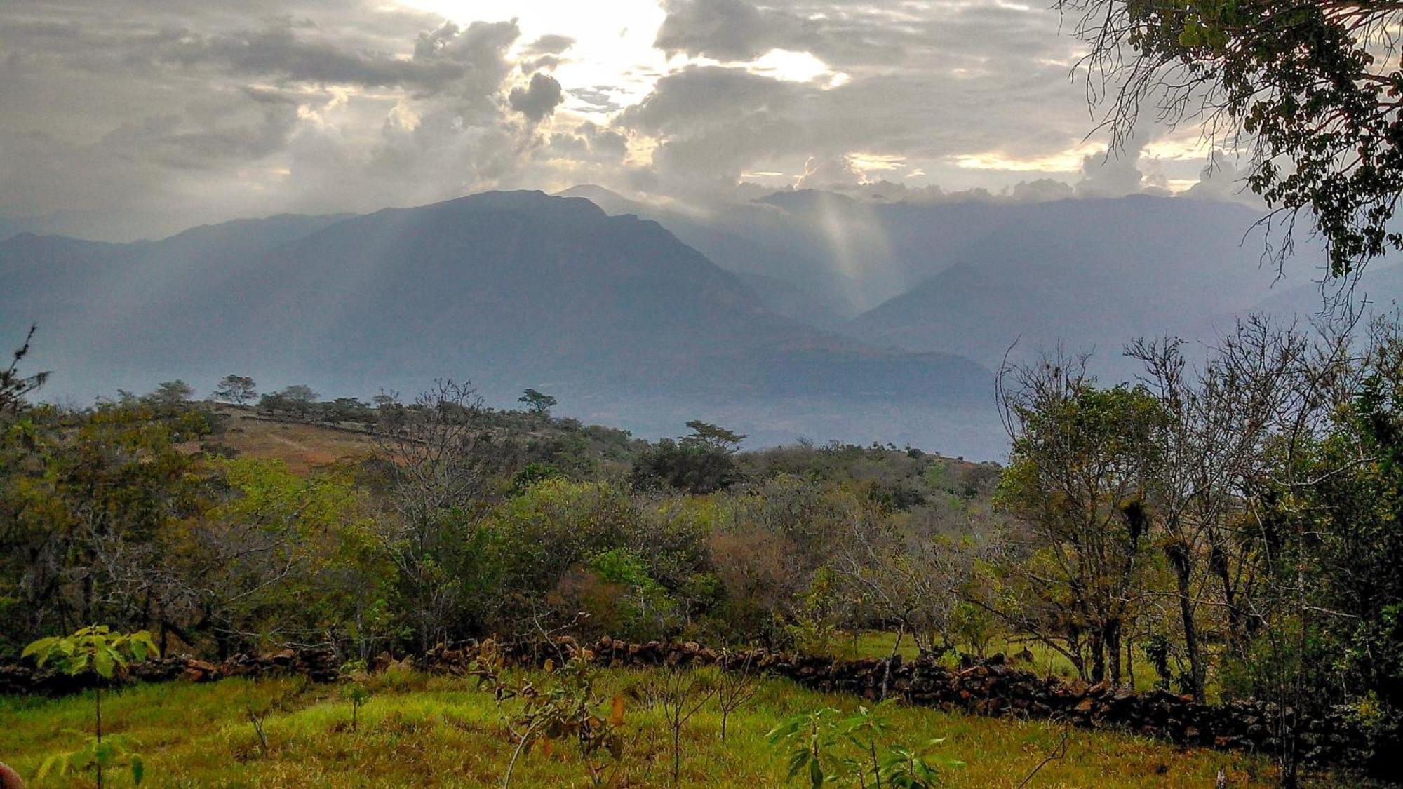 El Paraiso Posada Finca San Vicente バリチャラ エクステリア 写真