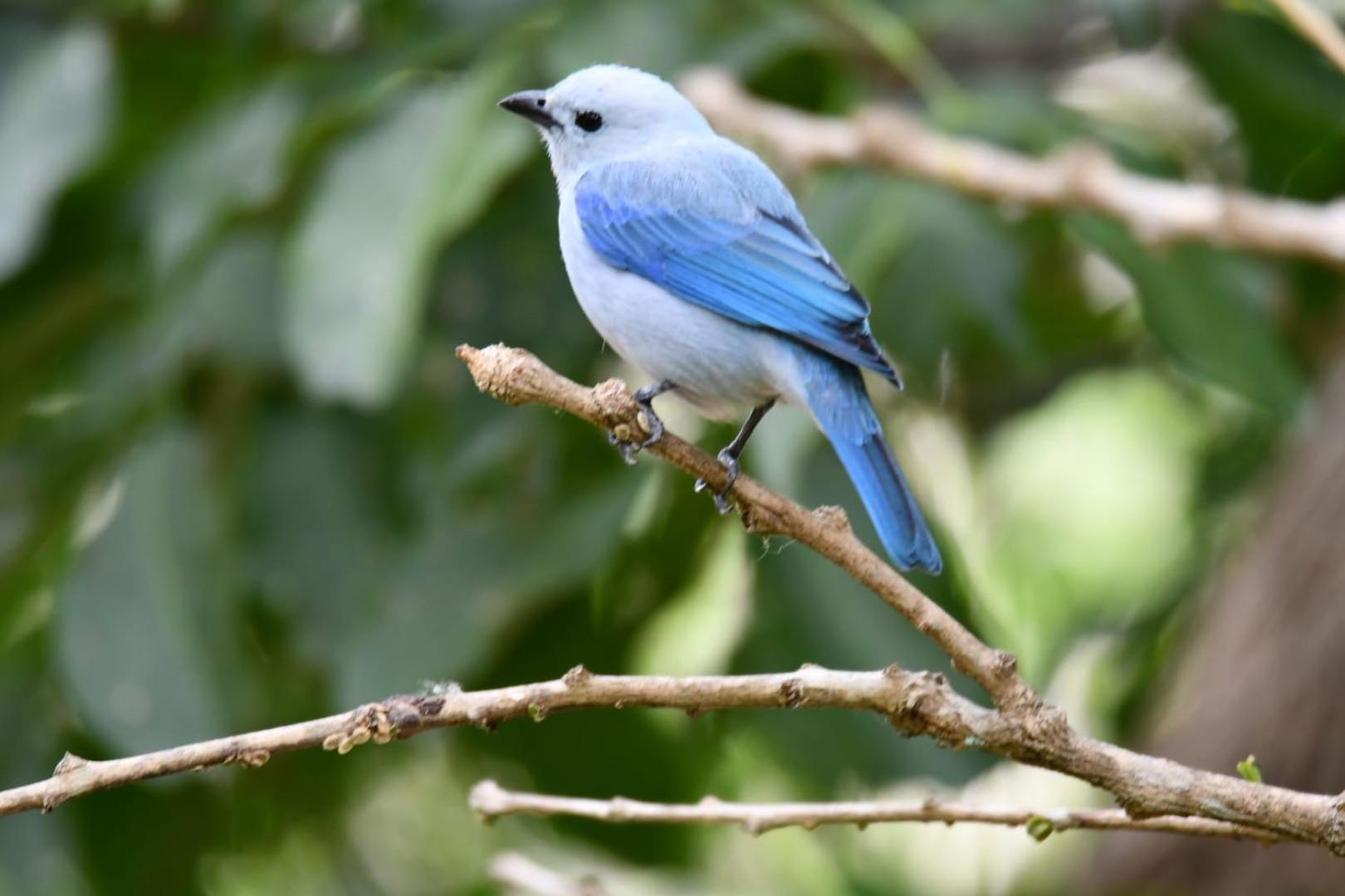 El Paraiso Posada Finca San Vicente バリチャラ エクステリア 写真