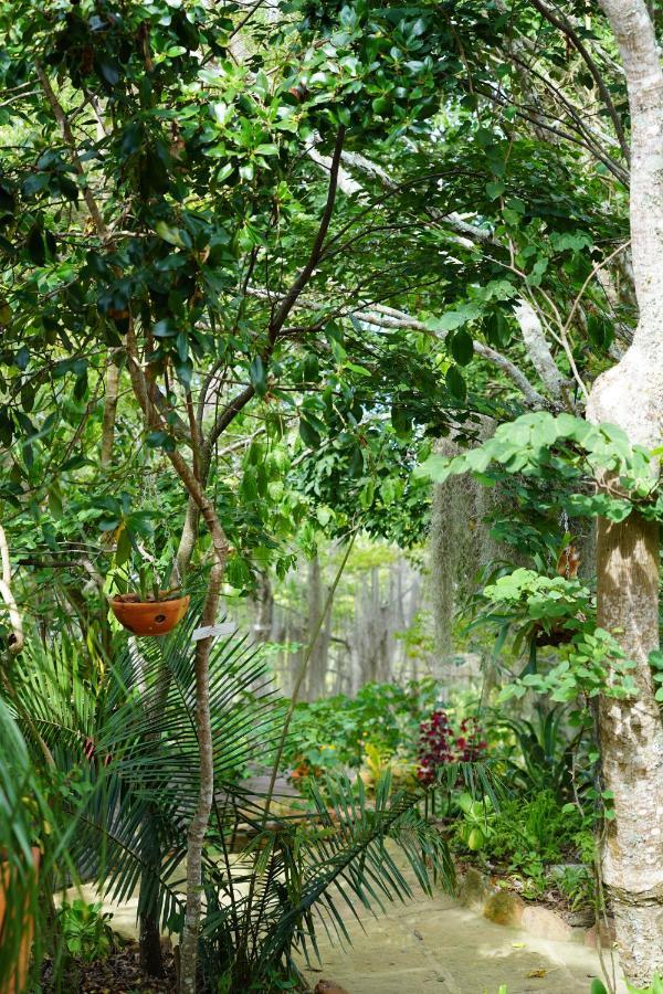El Paraiso Posada Finca San Vicente バリチャラ エクステリア 写真
