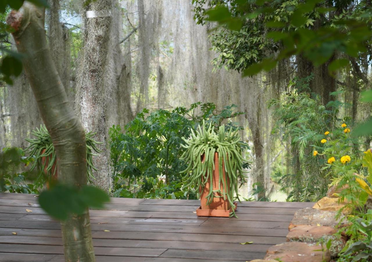 El Paraiso Posada Finca San Vicente バリチャラ エクステリア 写真