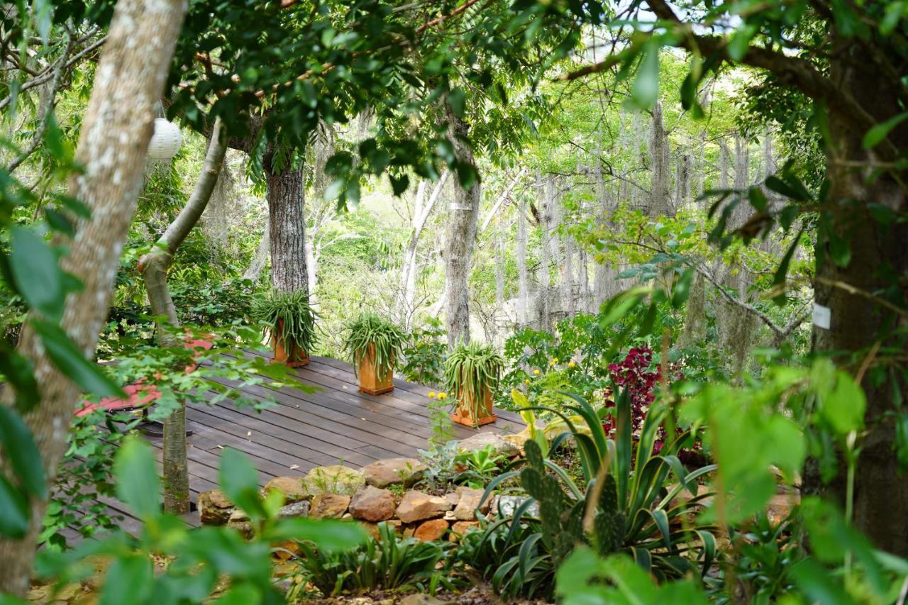 El Paraiso Posada Finca San Vicente バリチャラ エクステリア 写真