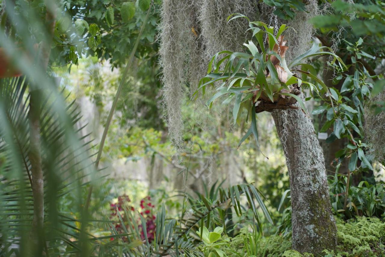 El Paraiso Posada Finca San Vicente バリチャラ エクステリア 写真
