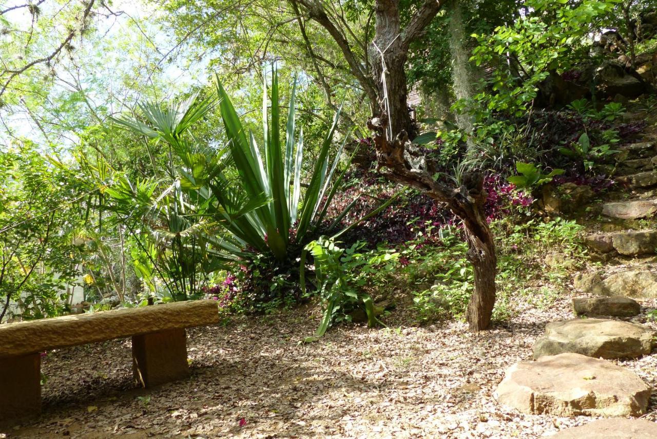 El Paraiso Posada Finca San Vicente バリチャラ エクステリア 写真